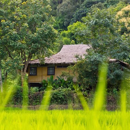 Hmong Hilltribe alojamiento Mae Rim Exterior foto