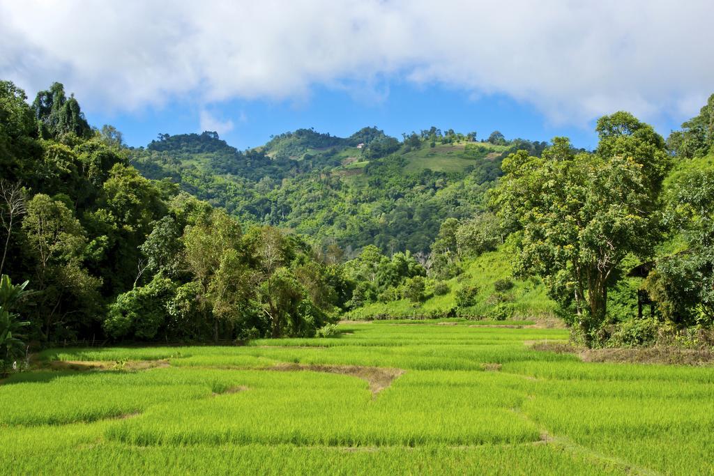 Hmong Hilltribe alojamiento Mae Rim Exterior foto