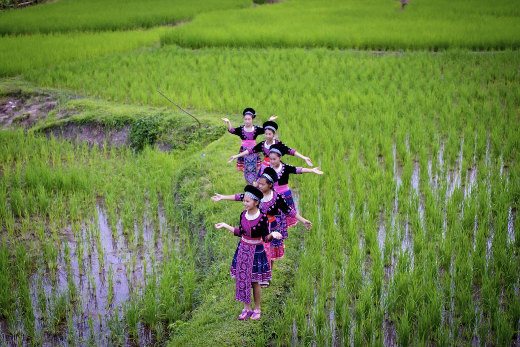 Hmong Hilltribe alojamiento Mae Rim Exterior foto