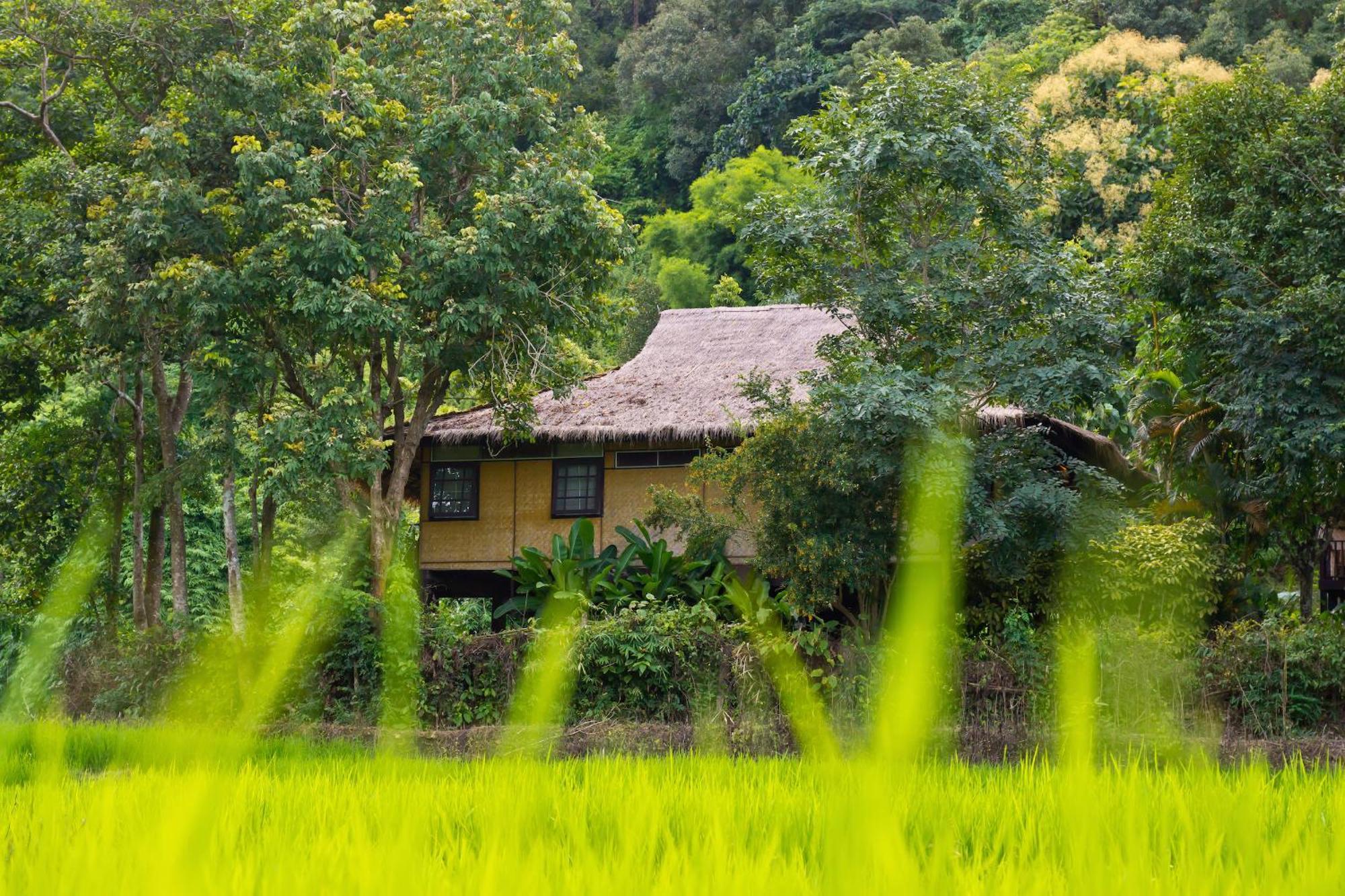 Hmong Hilltribe alojamiento Mae Rim Exterior foto